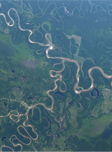 The Amazon River Basin