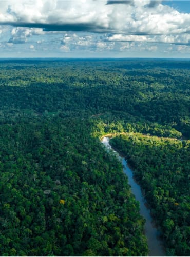 Yasuni National Park