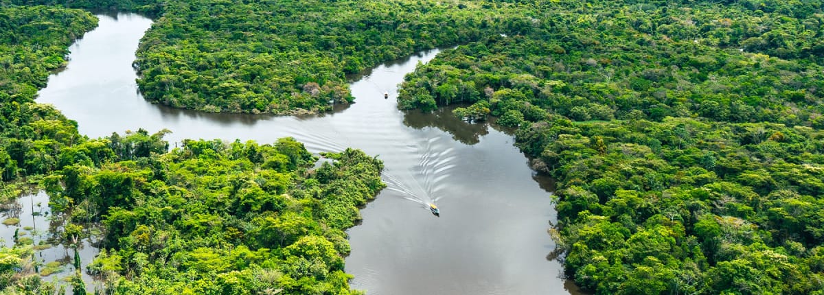 Manu National Park