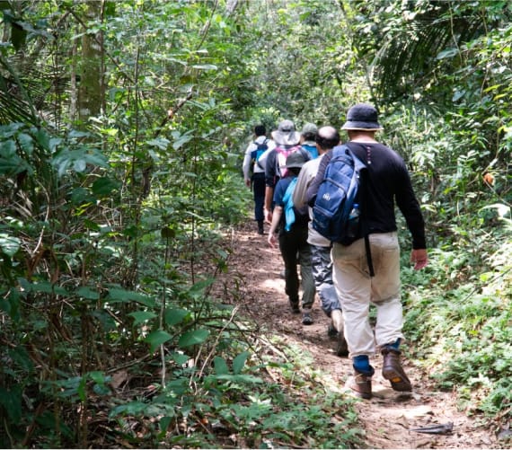 Amazon Rainforest Trek