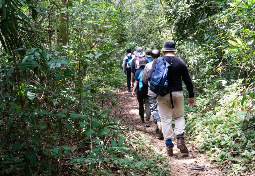 Amazon Rainforest Trek