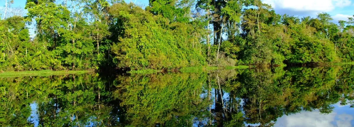 Amazon River Explorer